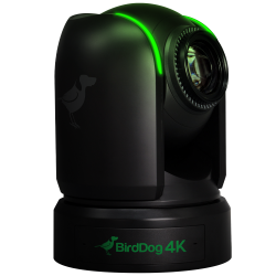 BirdDog P4K Black. 4K 10-Bit Full NDI PTZ with 1" Sony Sensor.