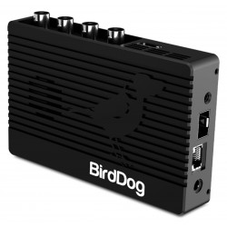 BirdDog 4K QUAD - 4 canales de 12G SDI a 4Kp60 NDI codificador / decodificador