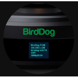 BirdDog BD-BDP110B negro.