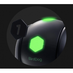 BirdDog BD-BDP110B negro.